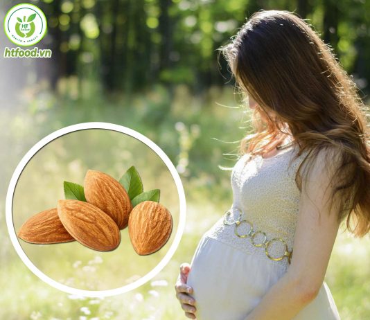 Hạt hạnh nhân có tác dụng gì cho bà bầu? Hạt hạnh nhân cho bà bầu mua ở đâu?