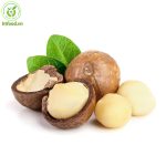 Hạt macca là hạt gì và tác dụng kỳ diệu của nó? Hạt macca là gì?