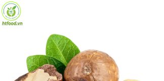 Hạt macca là hạt gì và tác dụng kỳ diệu của nó? Hạt macca là gì?