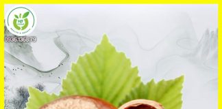 Hạt phỉ mua ở đâu tại TpHCM?