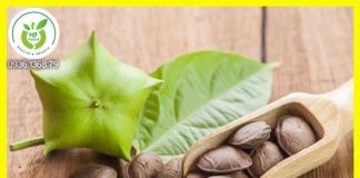 Địa chỉ bán hạt Sachi tại quận Tân Phú