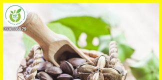 Địa chỉ bán hạt Sachi chất lượng tại quận Tân Phú