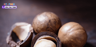 Hạt Macadamia Mua Ở Đâu Tại Hà Nội Và TP.HCM Đảm Bảo? hat macadamia mua o dau