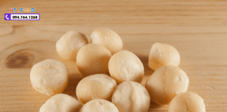 Hạt Macca Tách Vỏ Mua Ở Đâu Hà Nội – Chất Lượng Nhất? hat macca tach vo tai ha noi
