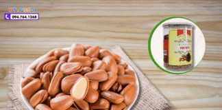 Hạt thông mua ở đâu tại Cà Mau? Hạt thông có ship về Cà Mau hat thong mua tai ca mau