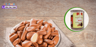 Hạt thông mua ở đâu tại Đắk Lắk? Bảo chất lượng & nguồn gốc hat thong mua tai dak lak