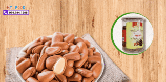 Hạt thông mua ở đâu tại Quảng Ngãi để đảm bảo chất lượng? hat thong mua tai quang ngai