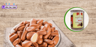 Hạt thông mua ở đâu tại Tuyên Quang uy tín – chất lượng cao? hat thong mua tai tuyen quang