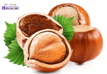 Hạt phỉ mua ở đâu tại TpHCM? Nơi bán hạt phỉ Mỹ giá sỉ mua hat phi o dau tphcm